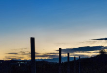 _DSC_0847