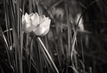 _DSC_0107-bn