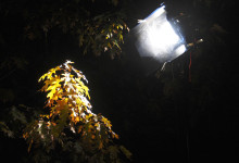Illuminazione Notturna